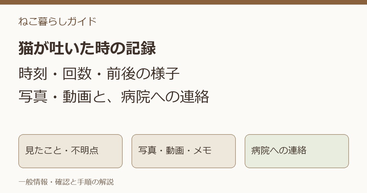 猫が吐いた時、何を病院に伝える？ 時刻・回数・様子と写真の残し方の内容を示す記事画像