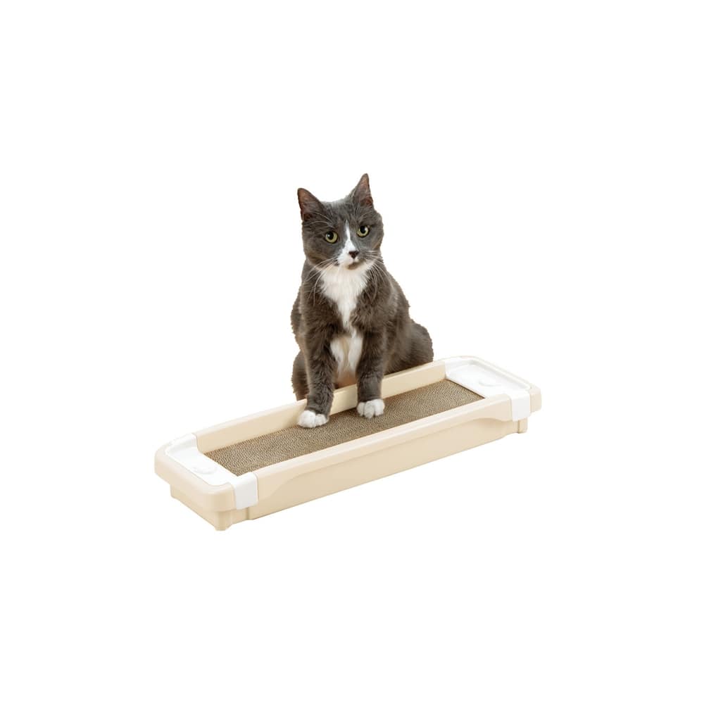 リッチェル「コロル 猫のツメみがき本体セット」ベージュ：ケースと詰め替えを確認