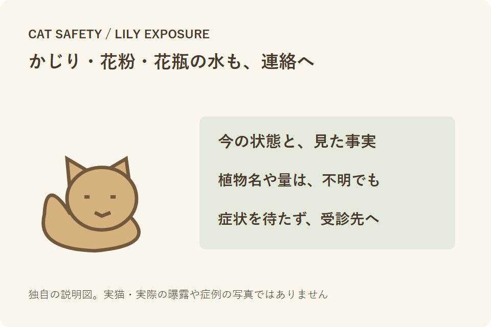猫のユリ・花粉・花瓶の水への接触の心配を相談する独自説明図