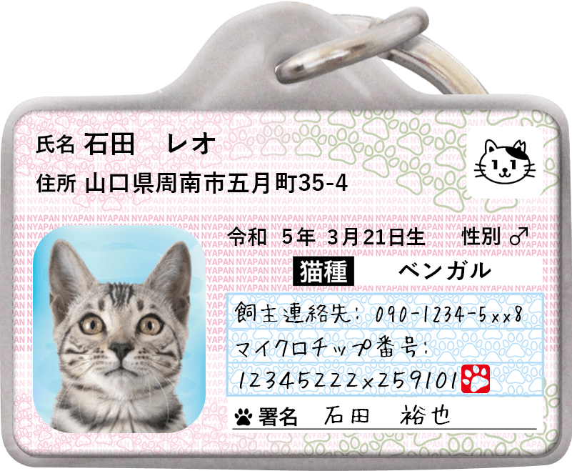 マイニャンバー迷子札の公式制作サンプル。猫の写真と記入欄がある表面