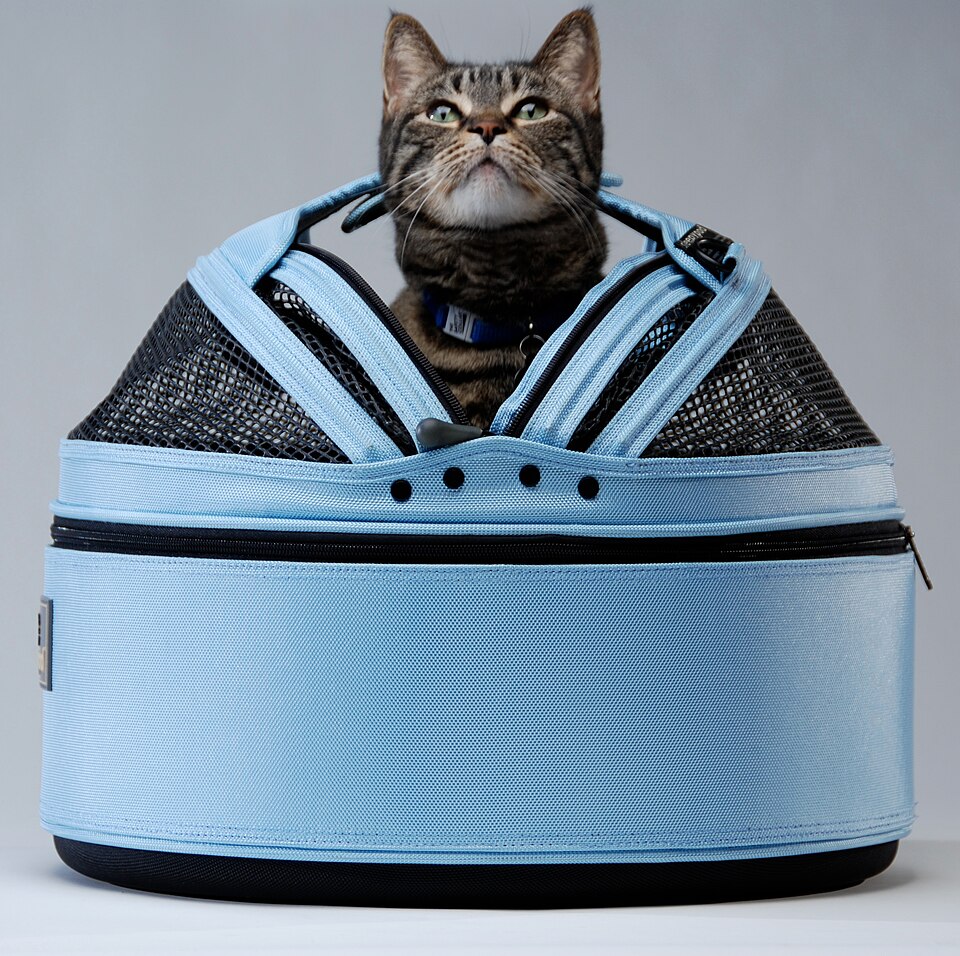 別製品の布製ソフトキャリーに入る猫。紹介するリッチェルの樹脂製キャリーではありません