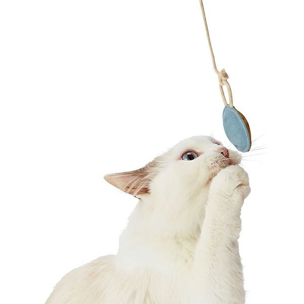 W26502/2個セット:ひもで動かしたときの、猫の公式使用例
