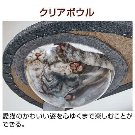同商品のクリアボウルを下から見た公式使用例。