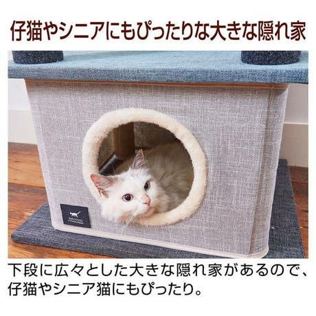 下段ハウスの公式使用例。内部寸法や猫の体重を示す写真ではありません。