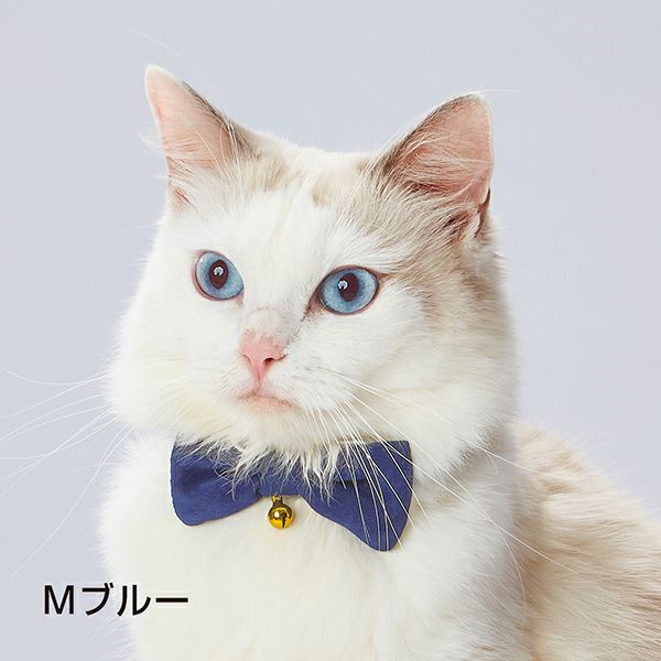 W57578/Mブルー:Mブルーの着用例で、飾りの位置を確認