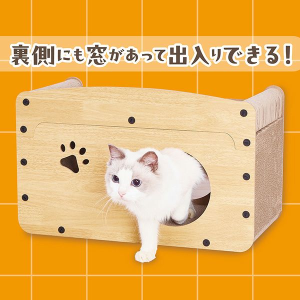 W27630：裏側の窓から顔を出した公式例