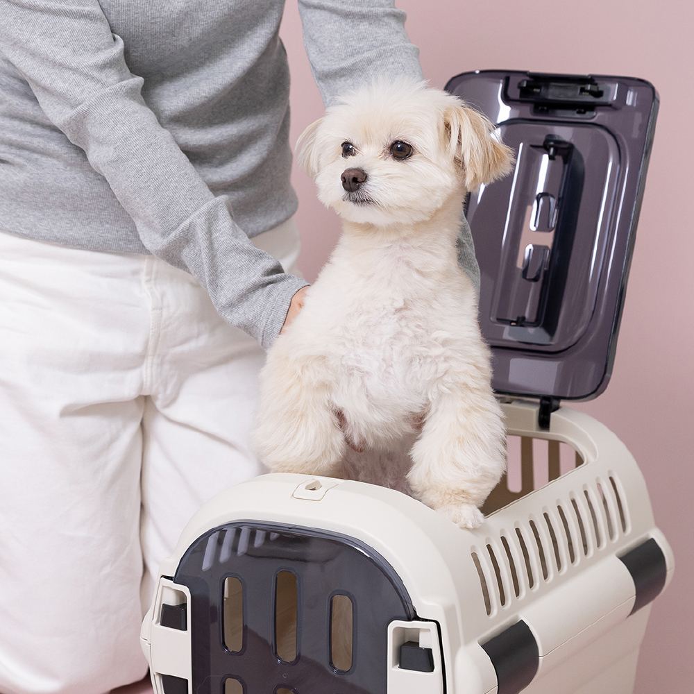 ダブルドアSの公式使用例。犬がモデルのため、猫の適合は内寸と体格で確認します。