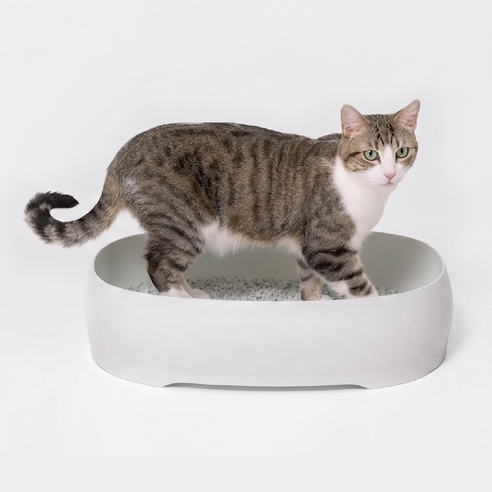 Mホワイトを使う猫の公式使用例。猫や砂は付属品ではありません