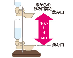 Nウォータースタンド059973：ディッシュ使用時の飲み口は床から8～40.5cm
