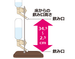 Nウォータースタンド059973：ノズルなら床から2.5～34.5cm。ディッシュと別範囲